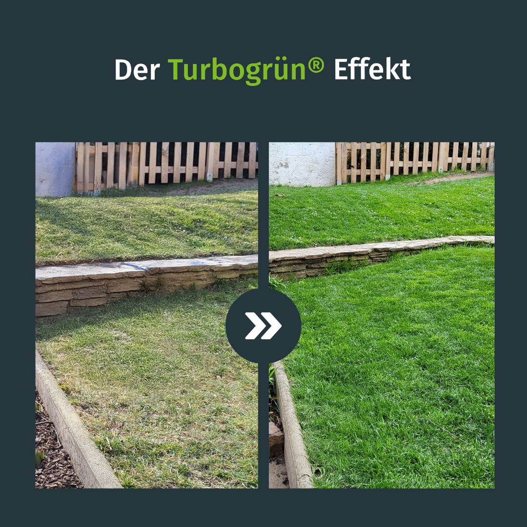 Turbogrün Herbstrasendünger