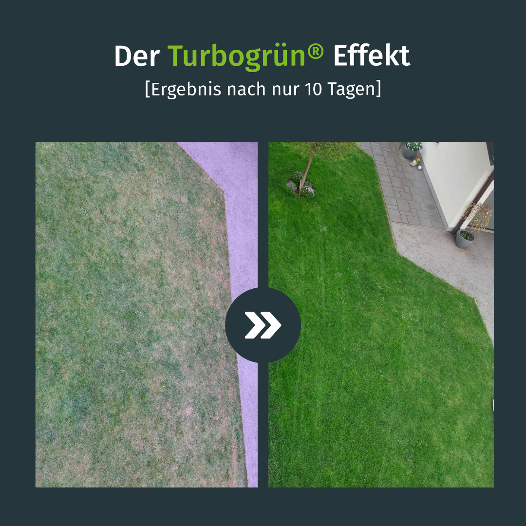 Turbogrün Bio-Rasendünger