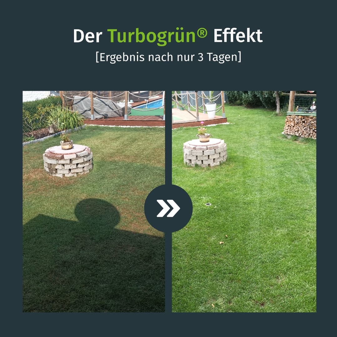 Premium Herbst-Rasendünger – turbogrün