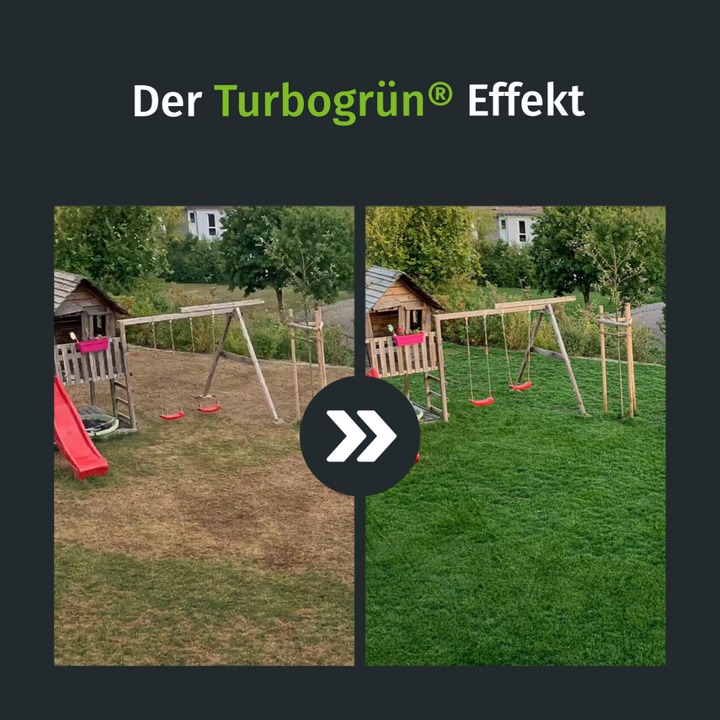 Sommer Starter-Set (250 m)  turbogrn
