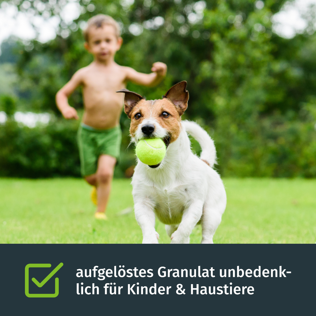 Rasendünger für das Frühjahr - Premiumline