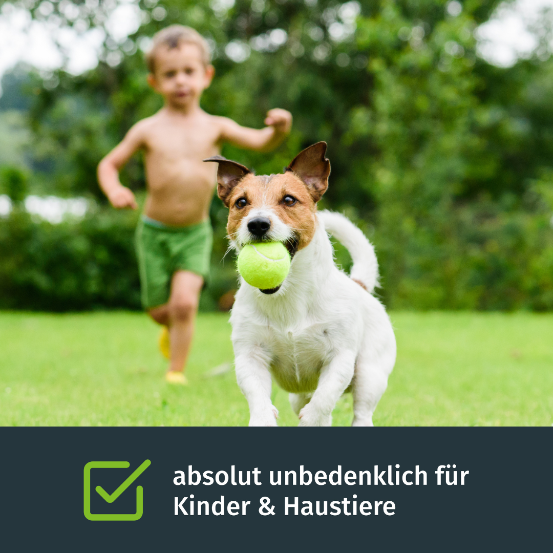 Flssig-Rasendnger inkl. Sprhkopf  turbogrn
