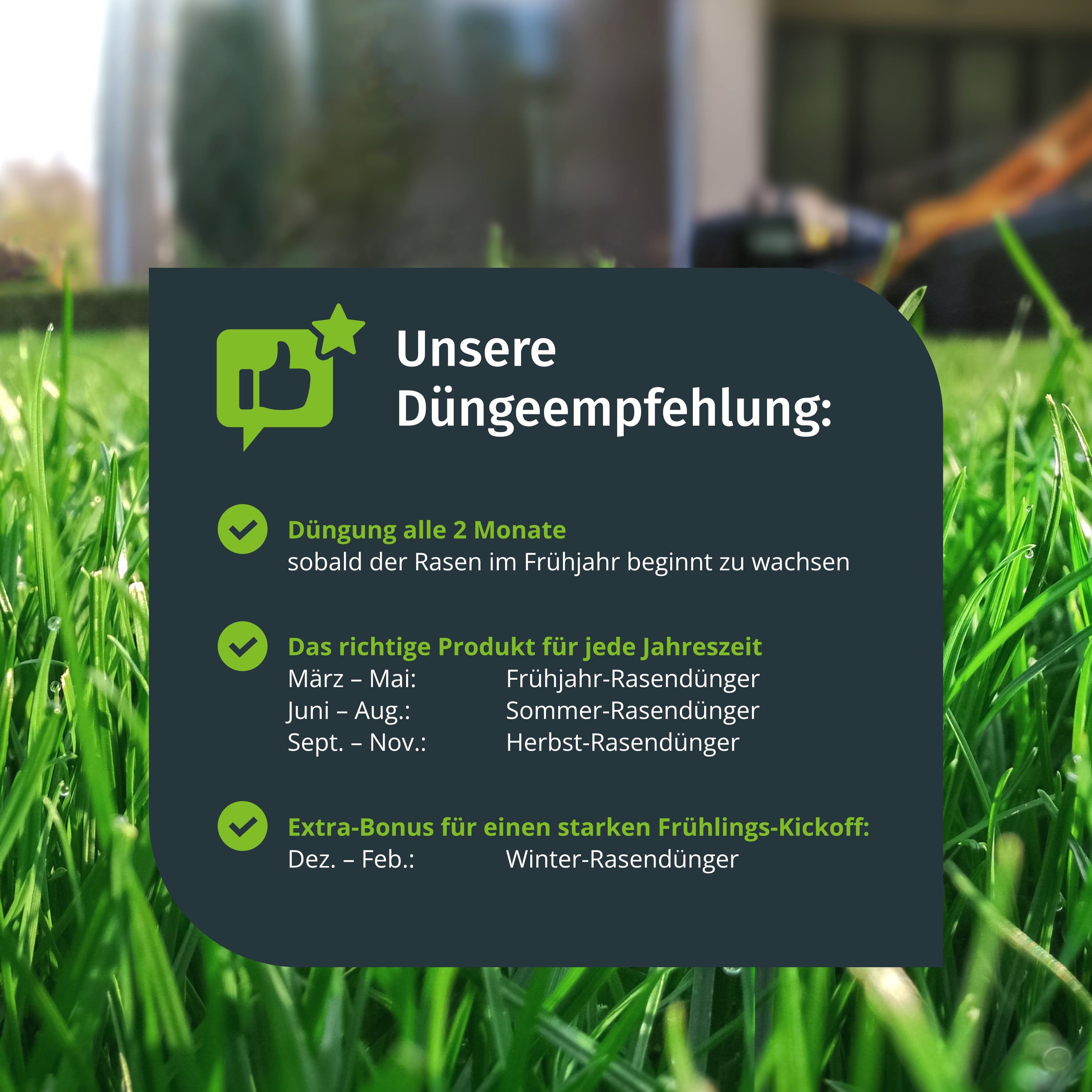 Sommer-Rasendünger
