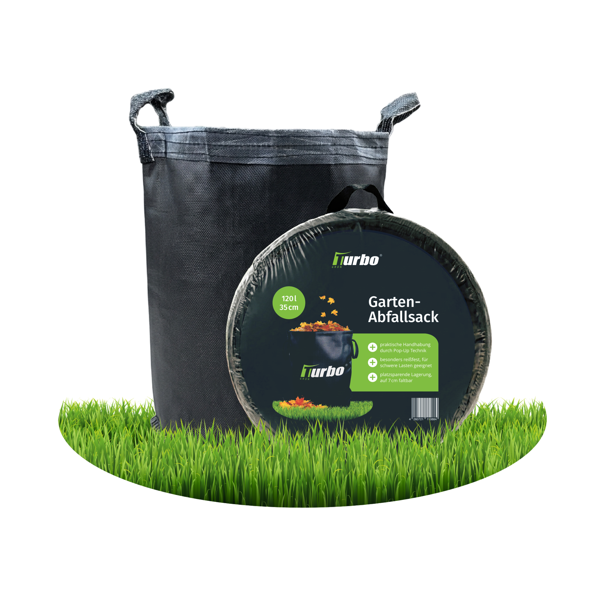 aloe vera miller barbadensis Aloe Vera 