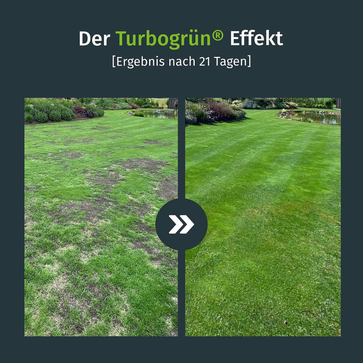 Rasen-Nachsaat mit Nachsaat-Rasensamen