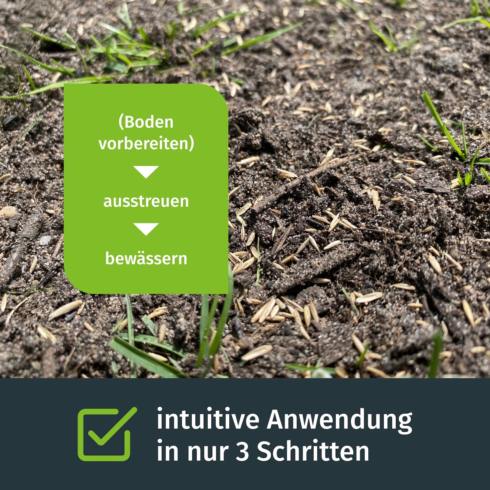 Rasen-Nachsaat mit Nachsaat-Rasensamen