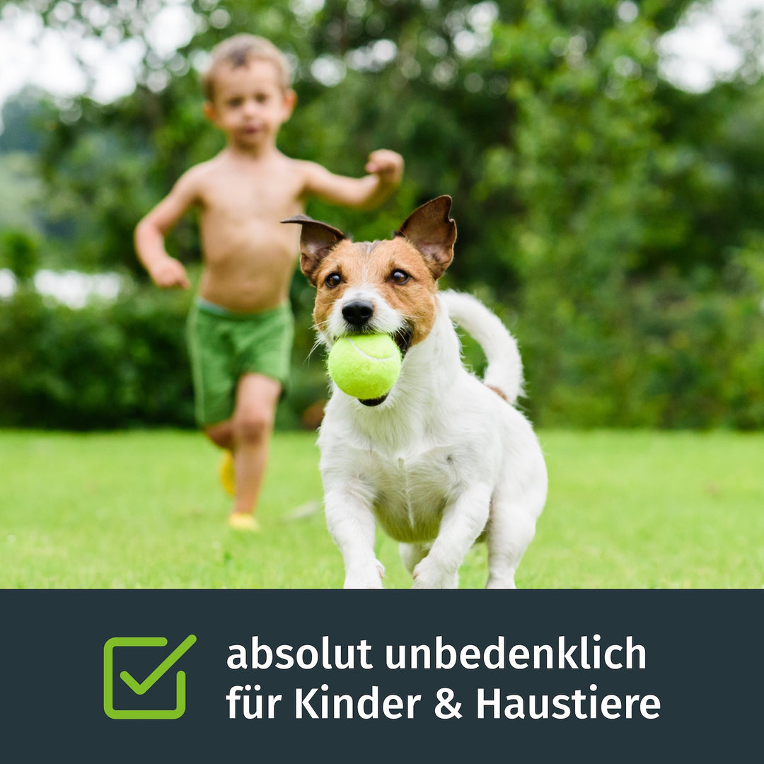 Rasen-Nachsaat mit Nachsaat-Rasensamen