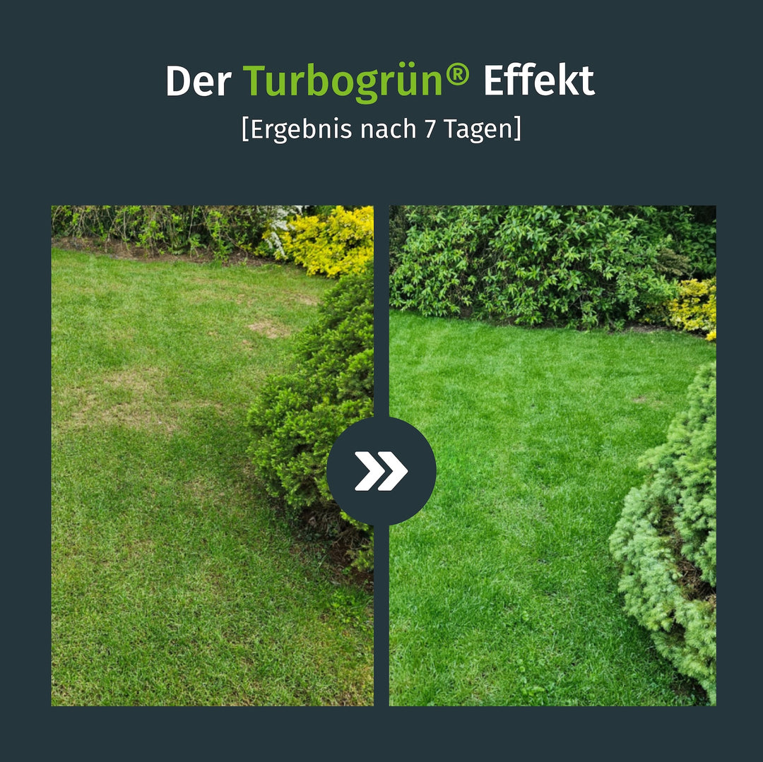 Turbogrün Rasenkalk