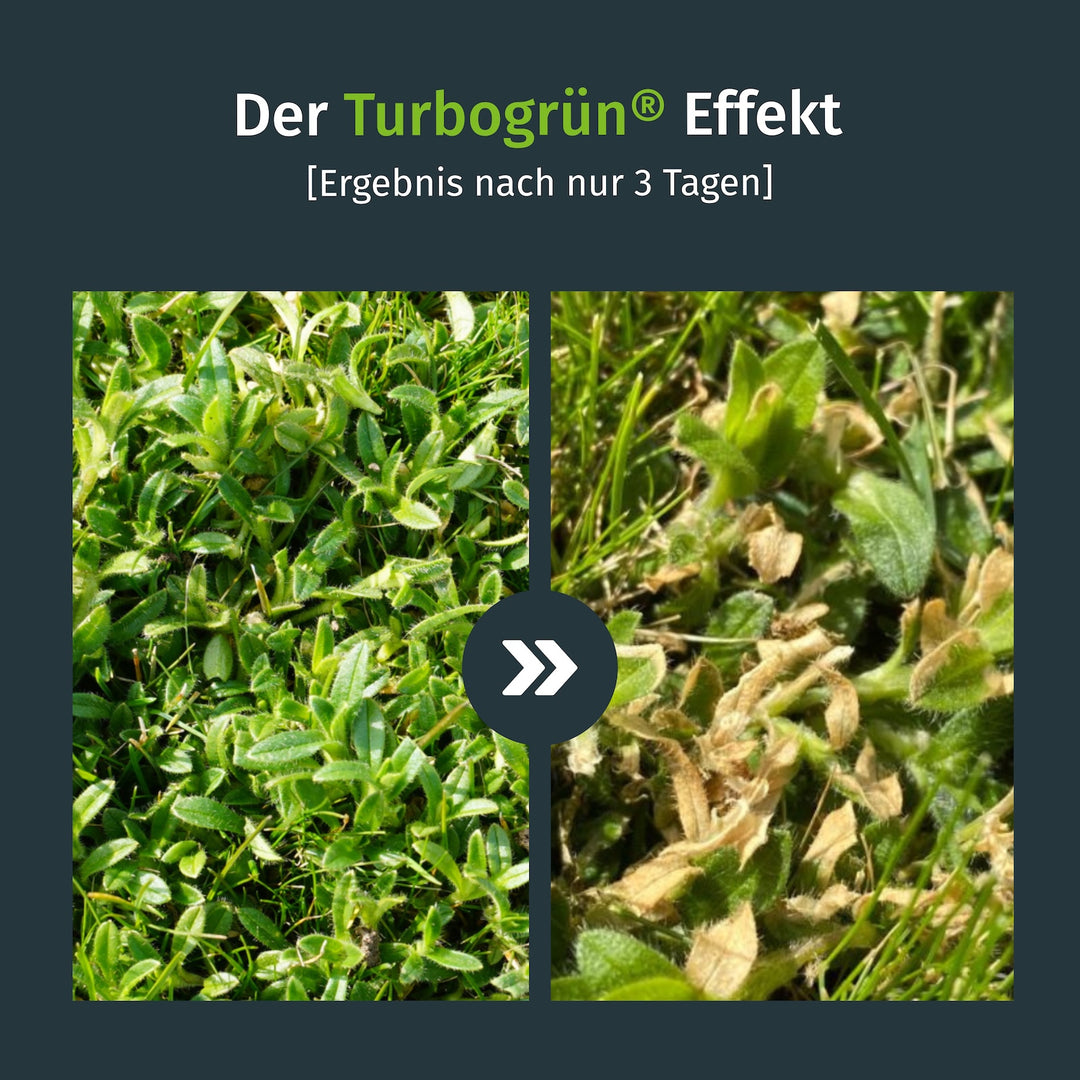 bio dünger kaufen Bio-Universaldünger für deinen Garten mit Langzeitwirkung main image 0