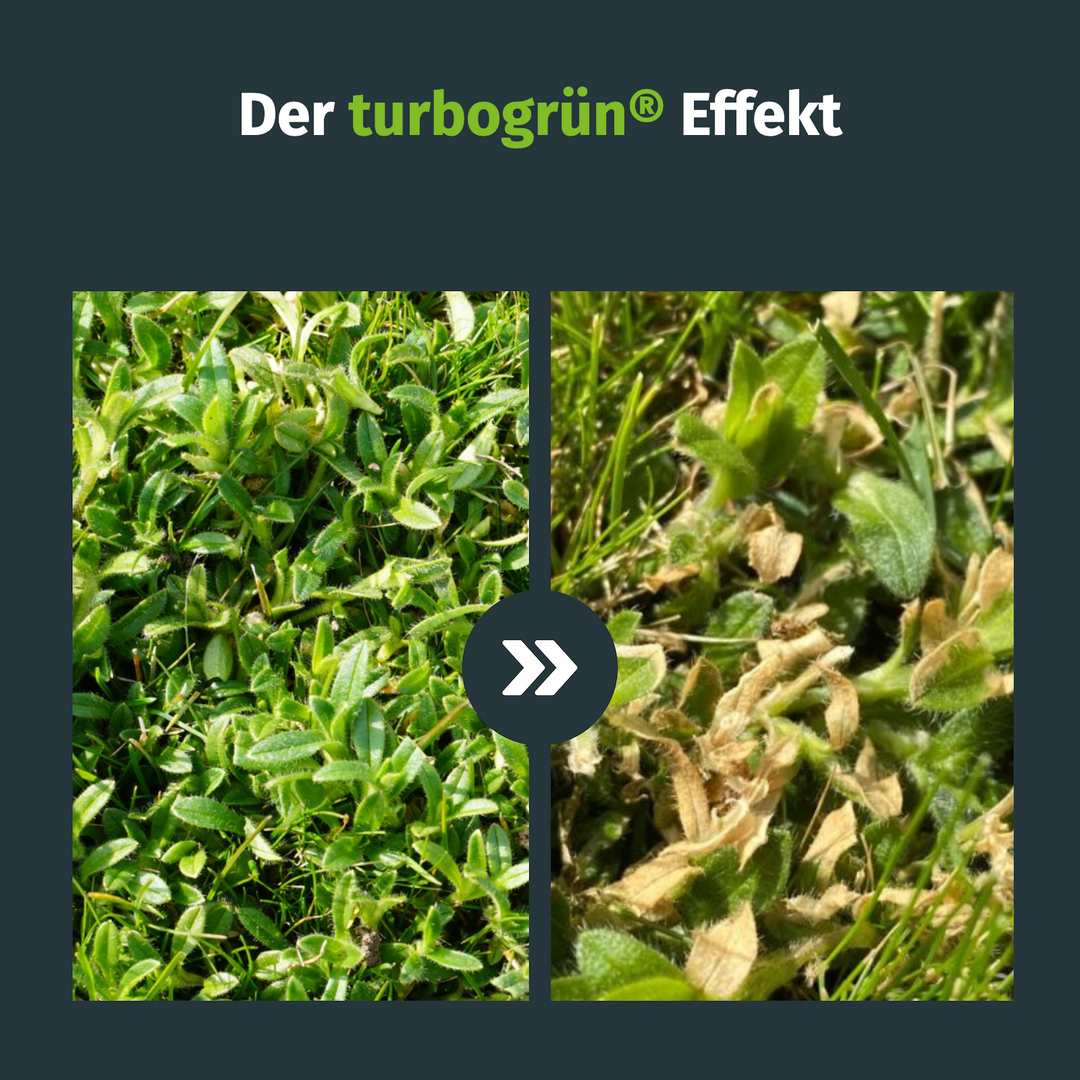 Unkrautvernichter mit Spritze (100 m²) – turbogrün
