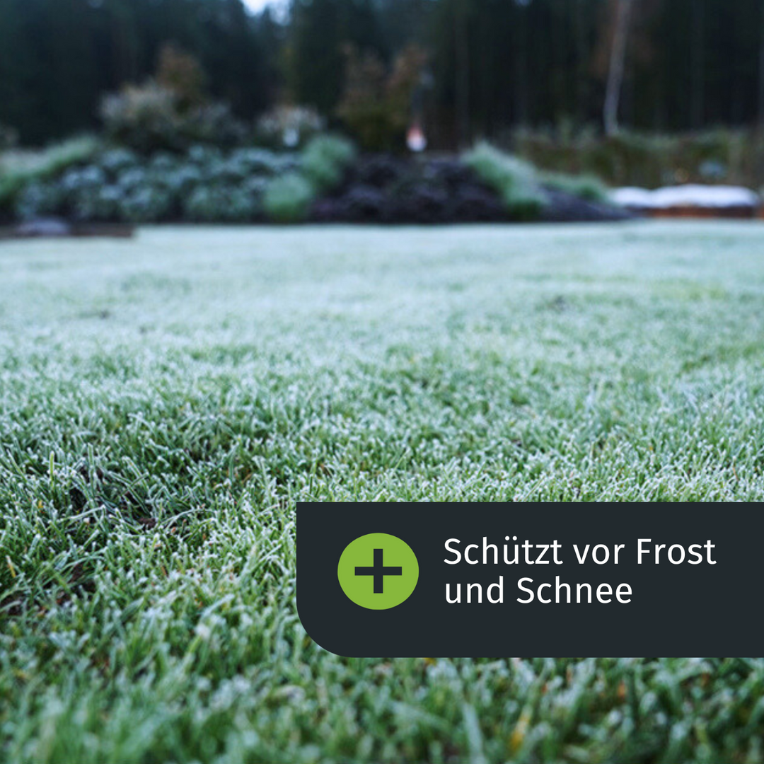 Herbst Rasenset + GRATIS Unkrautvernichter (250 m²) – turbogrün