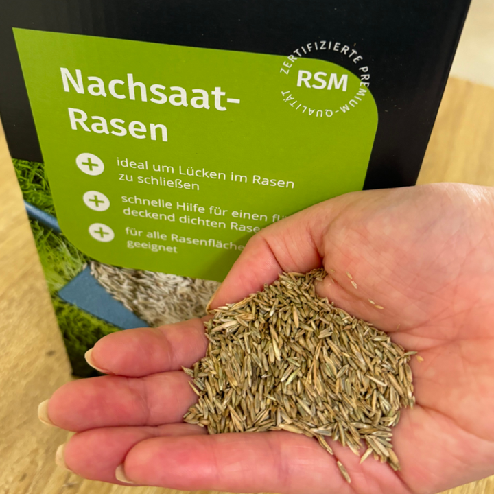 Rasen-Nachsaat mit Nachsaat-Rasensamen