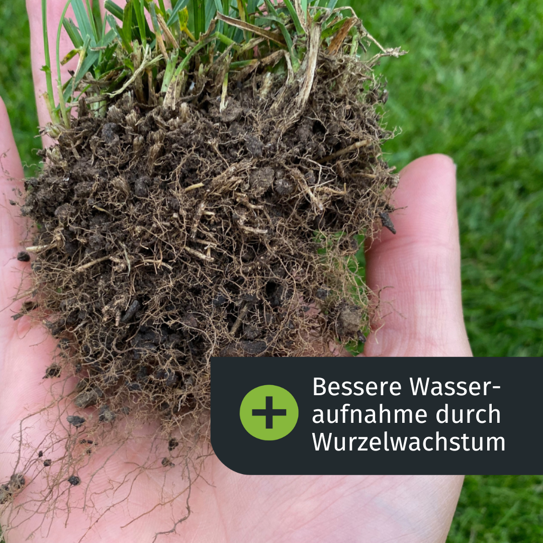 Premium Dnger-Abo (Sommer)  turbogrn