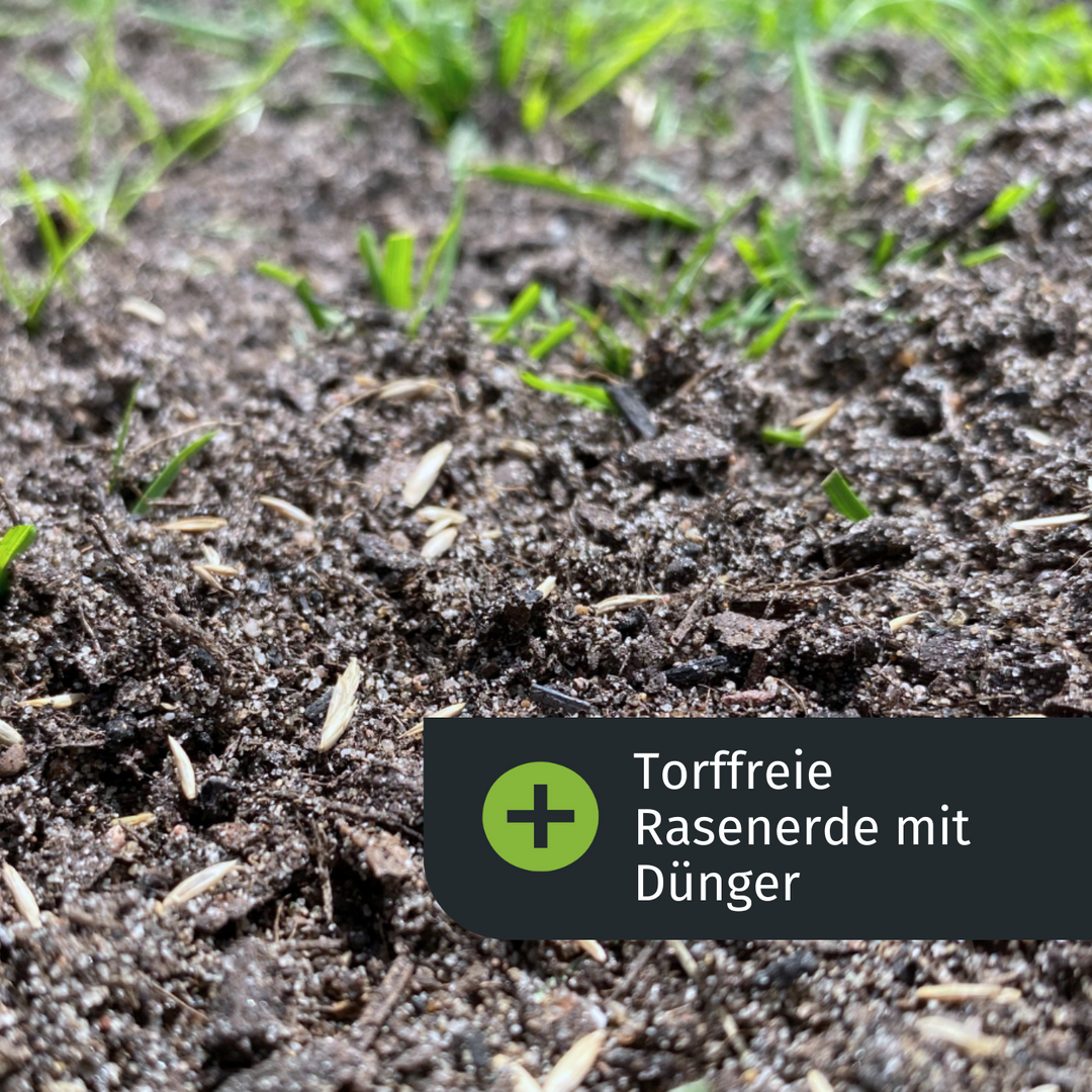 Lückenschließer Rasenset (100 m²) – turbogrün
