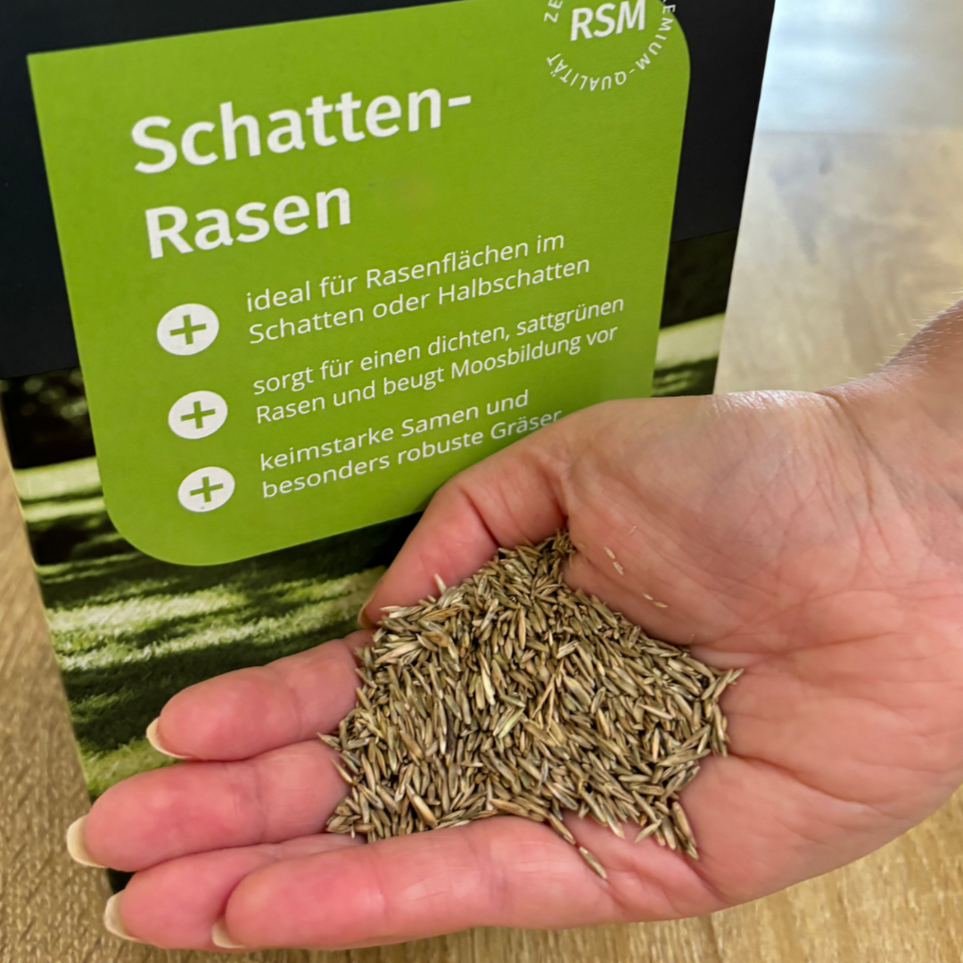 Schattenrasensamen - In geprüfter RSM-Qualität
