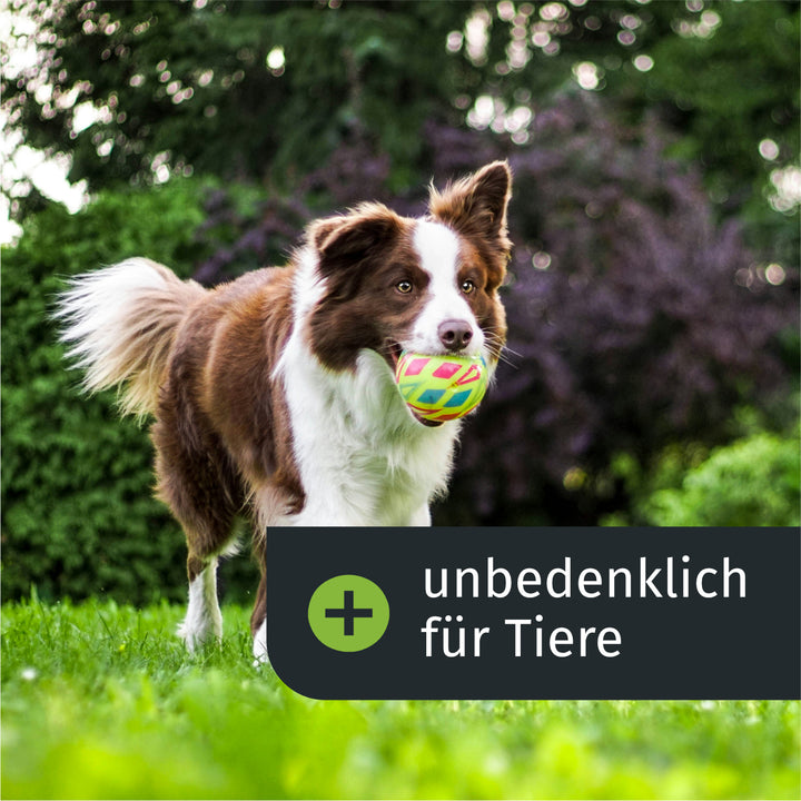 Klassik Dünger-Abo (Frühjahr) – turbogrün