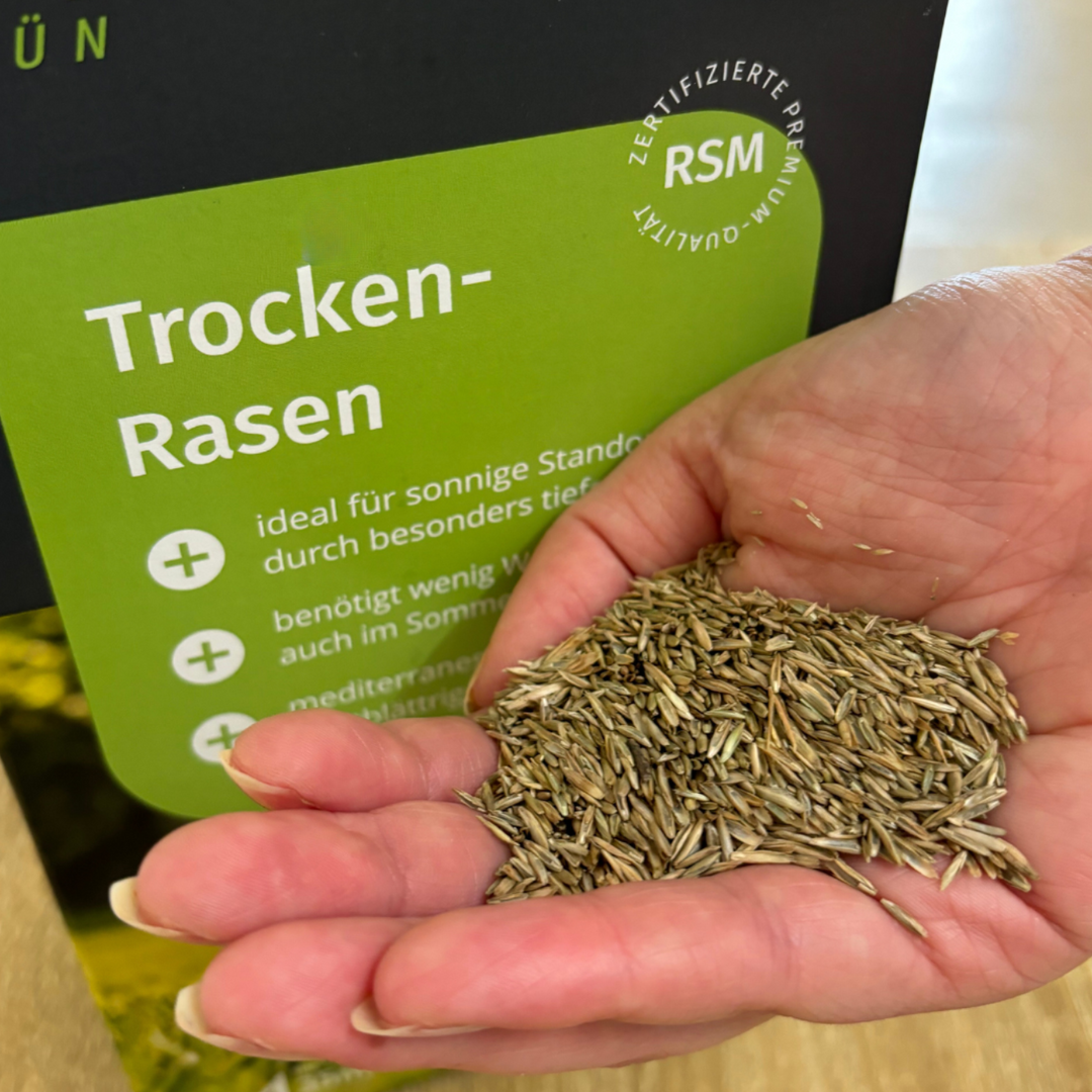 Trockenrasen - Rasensamen für trockene Standorte