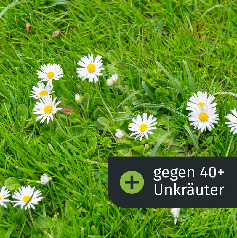 Dünger mit Unkrautvernichter (250 m²) – turbogrün