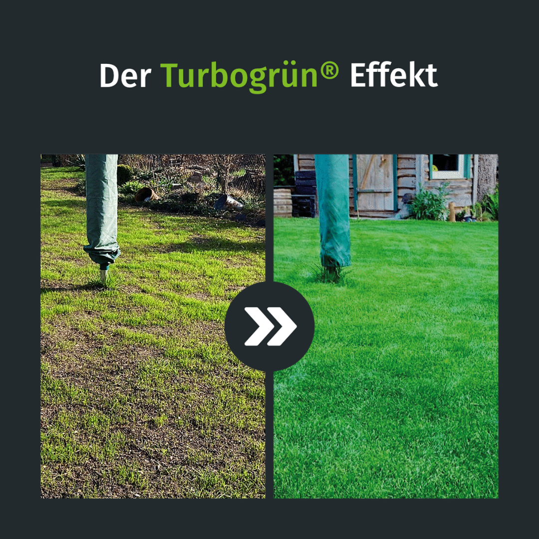Herbst Rasenset + GRATIS Unkrautvernichter (250 m²) – turbogrün