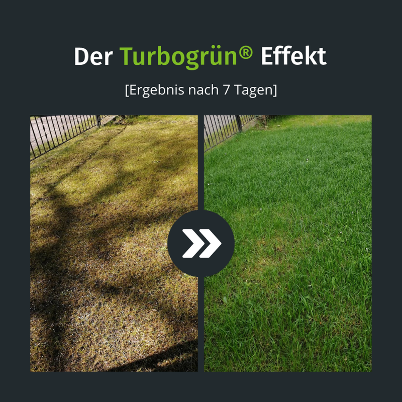 Dünger mit Unkrautvernichter (250 m²) – turbogrün