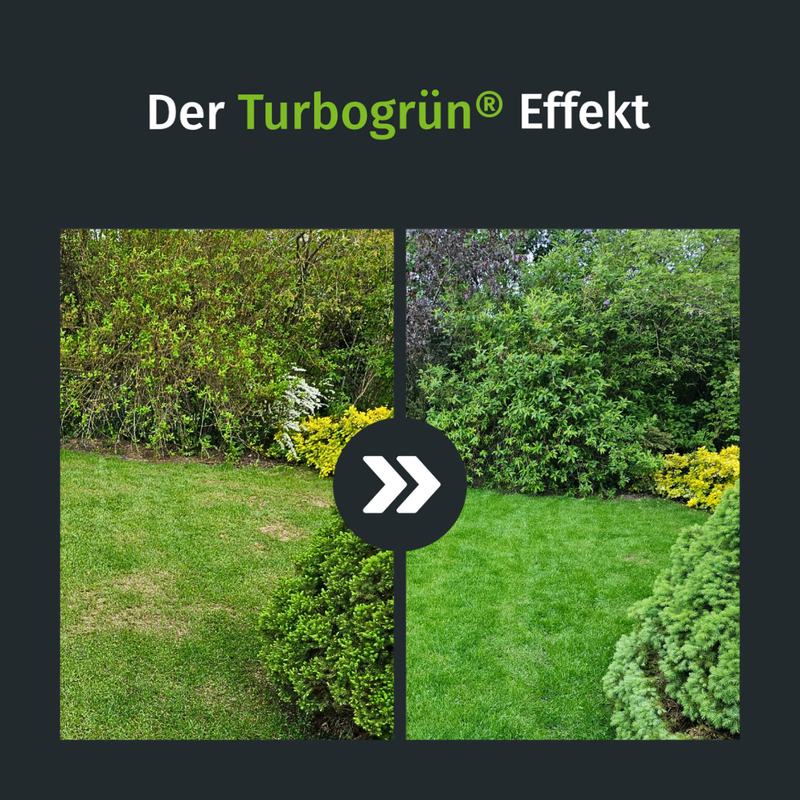 dünger frühjahr rasen Premium Dünger-Abo (Frühjahr) – turbogrün